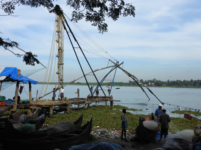 33 COCHIN Reti Cinesi